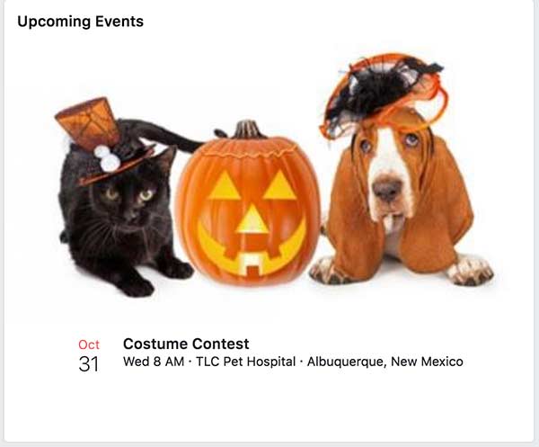 TLC Vet Pet Costume Contest