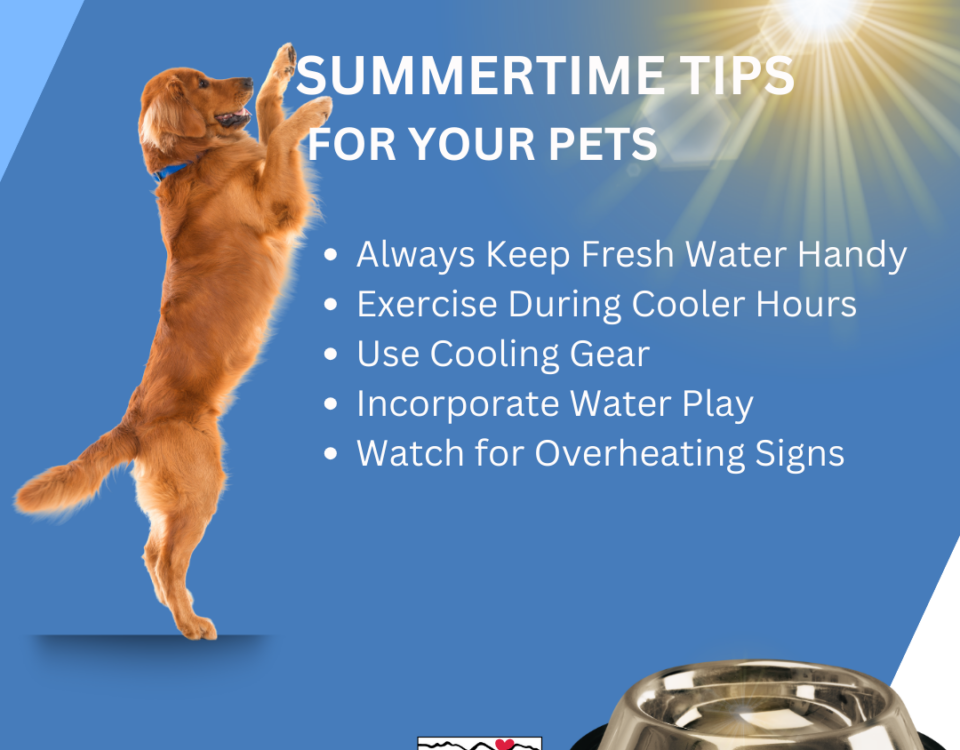 SUMMERTIME TIPS FOR YOUR PETS Always Keep Fresh Water Handy Exercise During Cooler Hours Use Cooling Gear Incorporate Water Play Watch for Overheating Signs